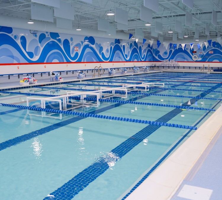 Big Blue Swim School (Sterling&nbspHeights,&nbspMI)